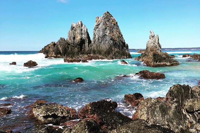 Batemans Bay Oyster Tasting Kayak Tour - Morning or afternoon: which departure should you choose?