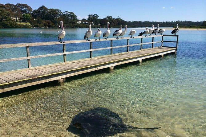 Batemans Bay Sunset Pizza Kayak Tour - Float and Feast - The guides make the difference