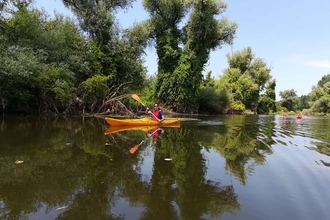 Belgrade Amazon Kayak Adventure - Guides, instruction, and the mood on the water
