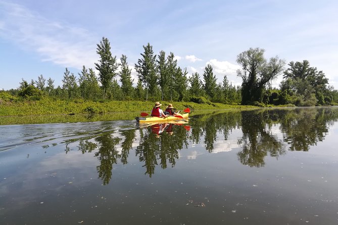 Belgrade Amazon Kayak Adventure - Who should book the Belgrade Amazon kayak trip