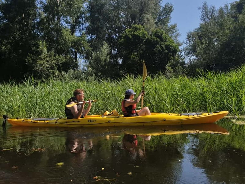 Belgrade: Great War Island Kayak Adventure - Key points to know before you book