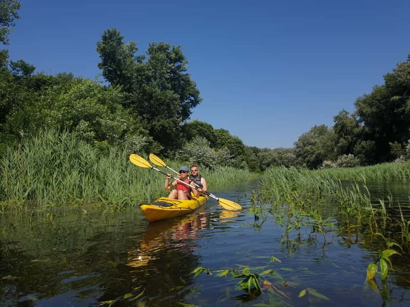 Belgrade: Great War Island Kayak Adventure - Why Great War Island is Belgrade’s best kayak setting