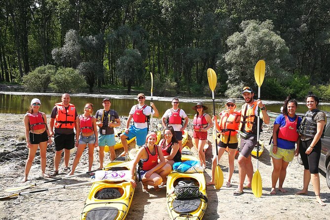 Belgrade War Island Kayak Tour - Key points before you book