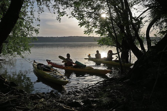 Belgrade War Island Kayak Tour - Why Great War Island is Belgrade’s best paddle setting