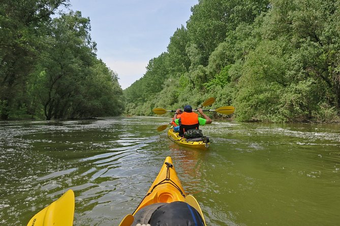 Belgrade War Island Kayak Tour - What the $42.33 price really covers