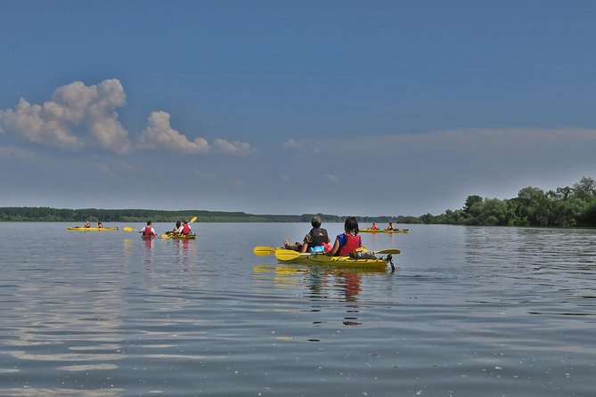 Belgrade War Island Kayak Tour - Clothing, effort, and who will enjoy it most