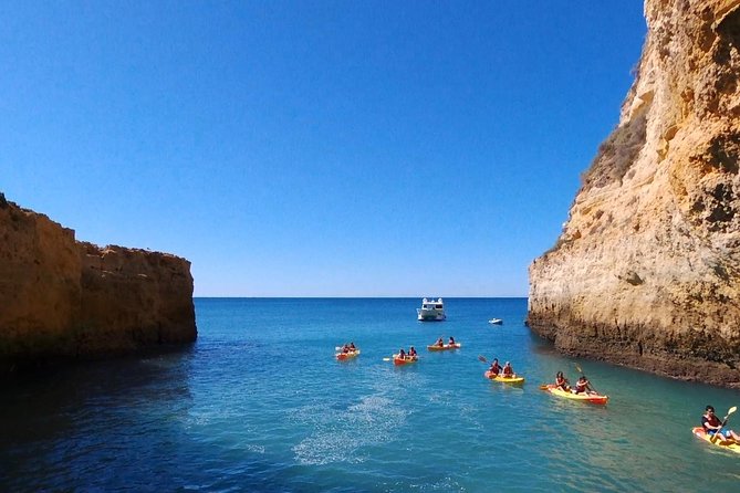 Benagil Kayak Tour On Board a Fantastic Catamaran - Swimming after the caves