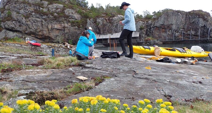 Bergen: Øygarden Islets Guided Kayaking Tour - Getting ready for a first sea-kayaking trip