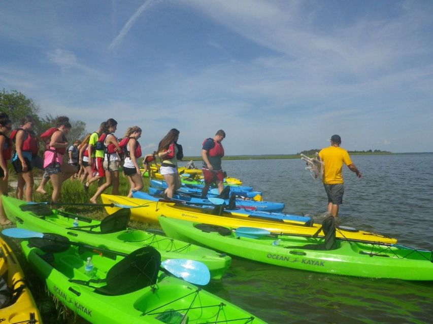 Berlin: Assateague Island Wildlife Discovery Kayak Tour - Key points to know before you paddle