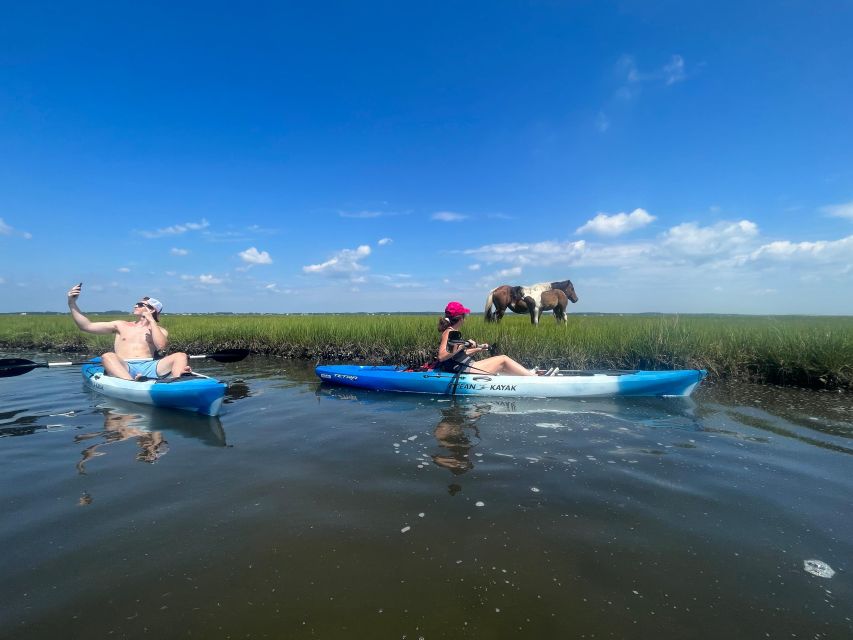 Berlin: Assateague Island Wildlife Discovery Kayak Tour - What the guides add to the experience