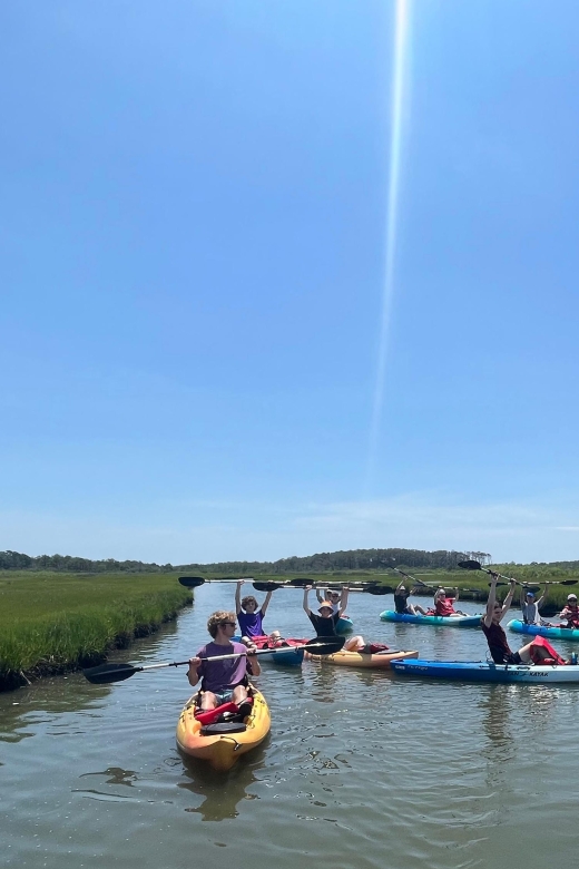 Berlin: Assateague Island Wildlife Discovery Kayak Tour - Should you book the Assateague kayak tour?