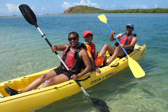 Best of Mangrove Lagoon Kayak, Hike and Snorkel Adventure with Picnic Lunch - What makes this St. Thomas eco adventure worth your time