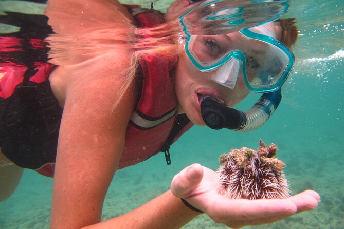 Best of Mangrove Lagoon Kayak, Hike and Snorkel Adventure with Picnic Lunch - Lunch, water, and the value of the $159 price
