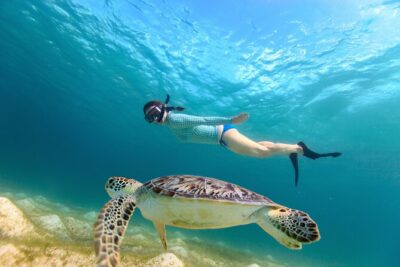 Best of Mangrove Lagoon Kayak, Hike and Snorkel Adventure with Picnic Lunch