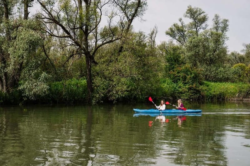 Biesbosch: Kayak Rental with Route Map and Life Jacket - Why Biesbosch is best seen by canoe