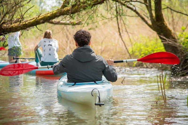 Biesbosch: Kayak Rental with Route Map and Life Jacket - What the 1.5-hour paddle feels like