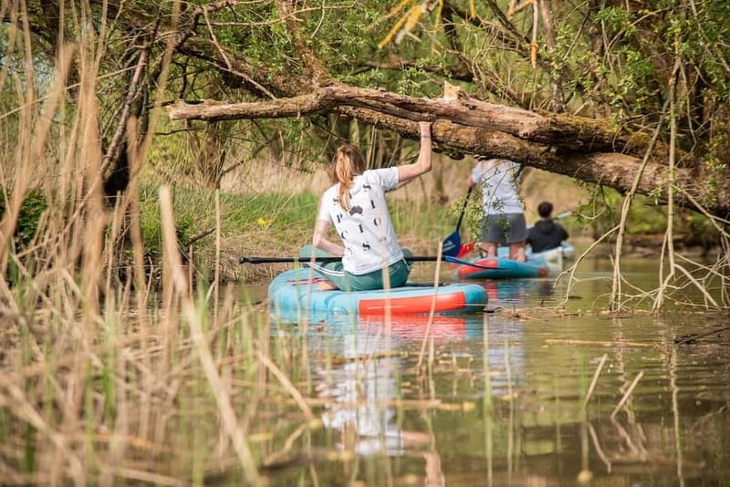 Biesbosch: Kayak Rental with Route Map and Life Jacket - How the price compares with the experience