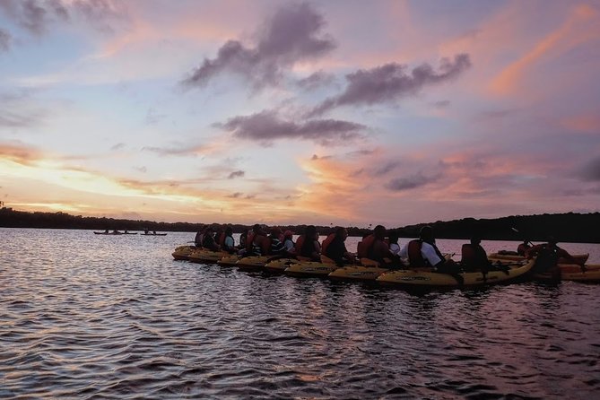 Bio Bay Kayak Tour in Fajardo - The honest tradeoffs