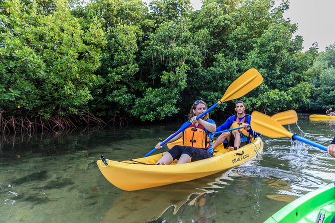 Bio Bay Night Kayak Tour with Transport from San Juan - Key points to know before you book