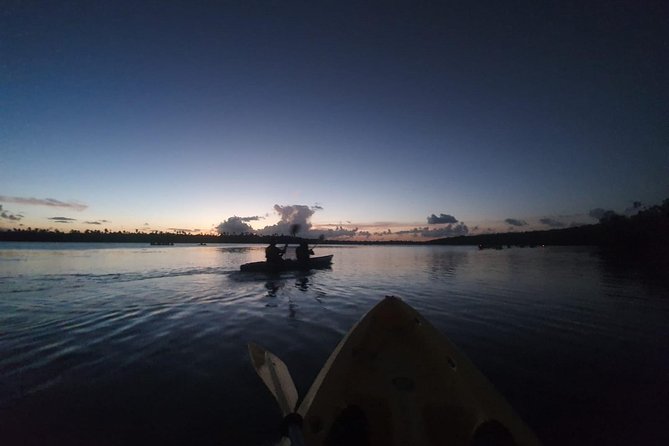 Bio Bay Night Kayak Tour with Transport from San Juan - What the guides add to the evening