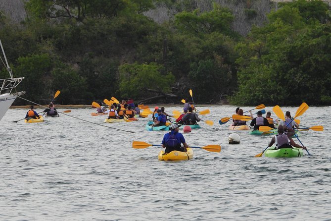 Bio Bay Night Kayak Tour with Transport from San Juan - Is $115 a fair price?