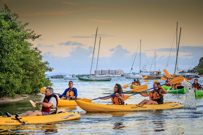 Bio Bay Night Kayak Tour with Transport from San Juan - Laguna Grande and the Las Cabezas mangroves