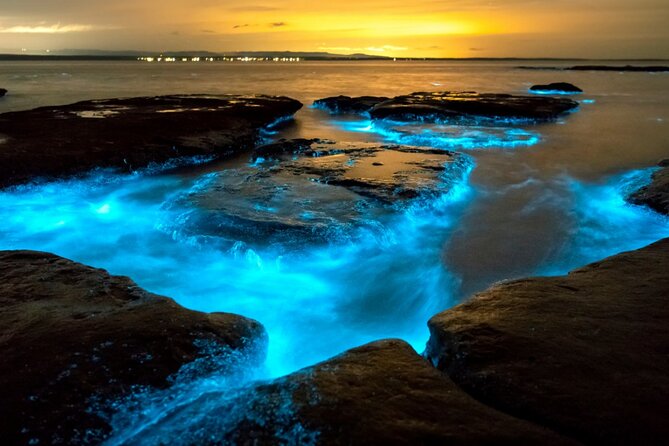 Bioluminescence Clear Kayak or Paddleboard Tour Near Orlando - What the Merritt Island launch is really like