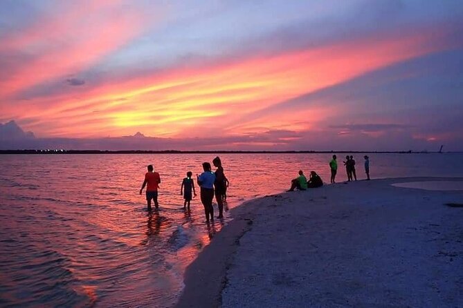 Bioluminescence Clear Kayak or Paddleboard Tour Near Orlando - Horseshoe crabs, comb jellies, and the first glow