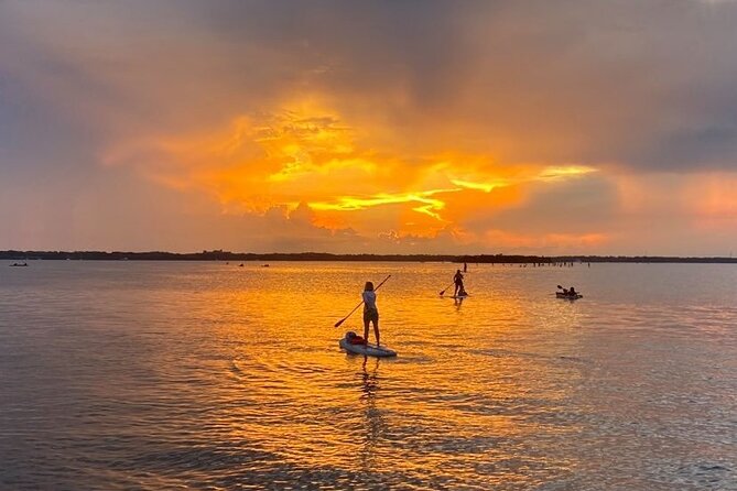 Bioluminescence Clear Kayak or Paddleboard Tour Near Orlando - How bright is the bioluminescence?
