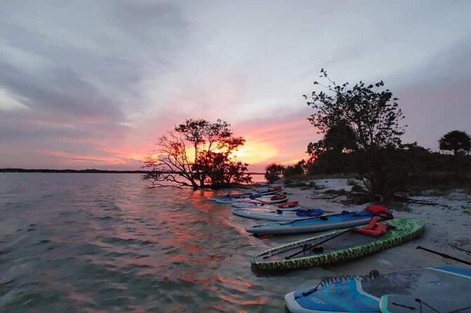 Bioluminescence Clear Kayak or Paddleboard Tour Near Orlando - Guides, safety, and the feel of the group