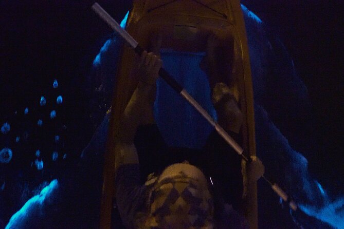 Bioluminescence Kayak Tour - Winter glow: holding a comb jelly in your hands