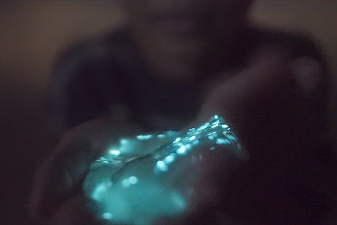Bioluminescence Kayak Tour - Guides make the difference after sunset