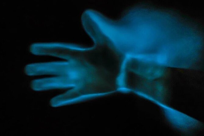 Bioluminescence Kayak Tour - What to wear and pack for a wet night
