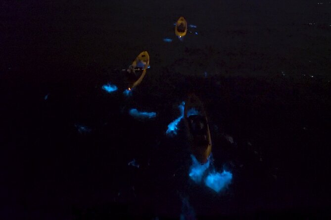 Bioluminescence Kayak Tour - Group size, timing, and comfort