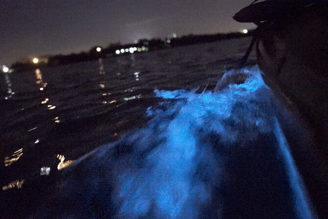 Bioluminescence Kayak Tour - How much value does the tour offer?