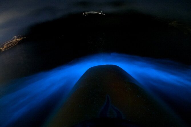 Bioluminescence Kayak Tour - Est. 1994 - Key points to know before you book