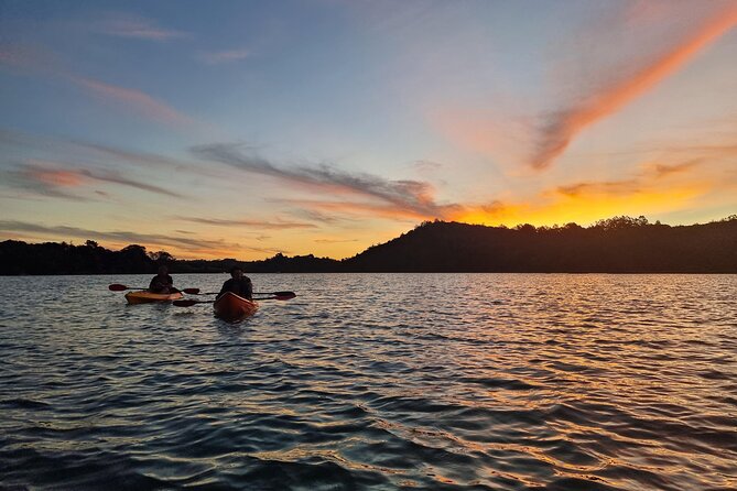 Bioluminescence Kayak Tour - Est. 1994 - Why the water can look like stars