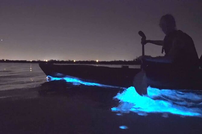 Bioluminescence Kayak Tour - Est. 1994 - The real value at $73.85