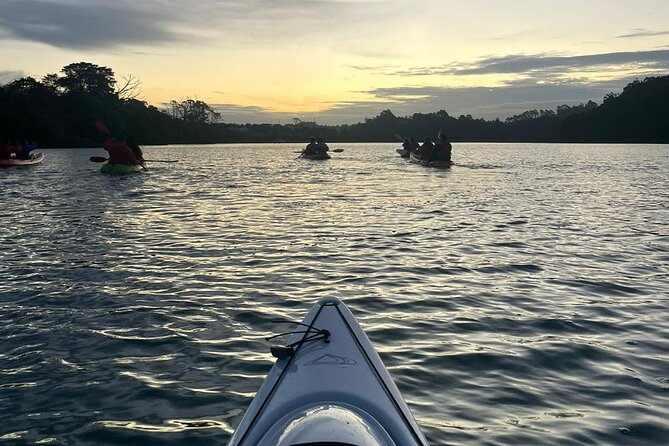 Bioluminescence Kayak Tour - Est. 1994 - Getting there and preparing for the water
