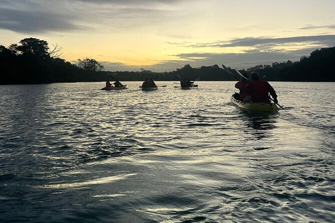 Bioluminescence Kayak Tour - Est. 1994 - How to make the most of the two hours