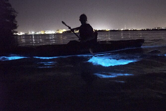 Bioluminescence Kayak Tour - Fish, manatees, dolphins, and the occasional space launch