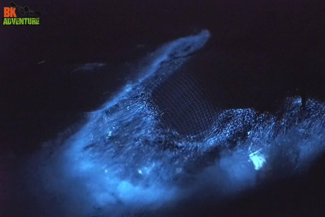 Bioluminescence Night Kayaking Tour of Merritt Island Wildlife Refuge - Paddling into the Merritt Island night