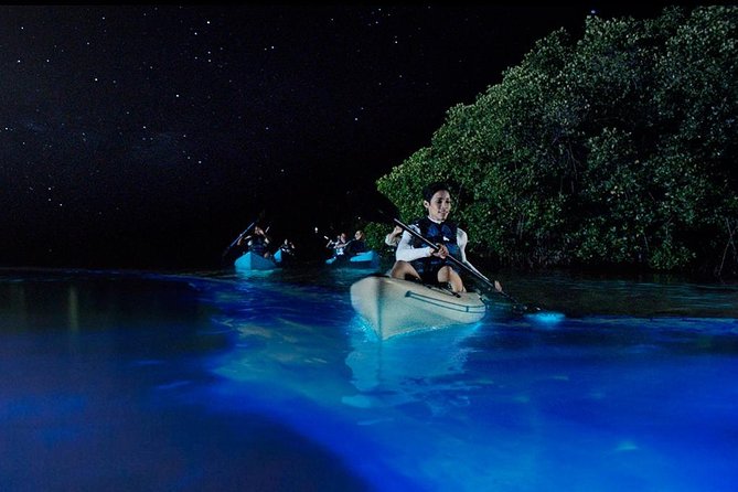 Bioluminescence Night Kayaking Tour of Merritt Island Wildlife Refuge - The refuge after sunset