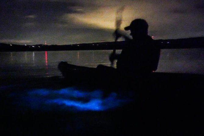 Bioluminescence Night Kayaking Tour of Merritt Island Wildlife Refuge - How much glowing water should you expect?