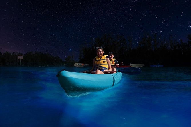 Bioluminescence Night Kayaking Tour of Merritt Island Wildlife Refuge - Small group does not mean private