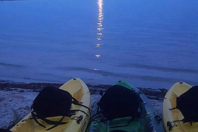 Bioluminescence Night Kayaking Tour of Merritt Island Wildlife Refuge - Why the water can glow