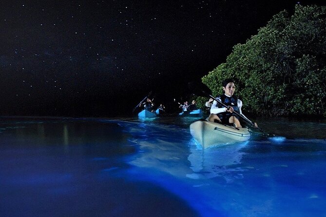 Bioluminescence Tour in Kayak in Holbox Island - What the Holbox bioluminescence tour is really like
