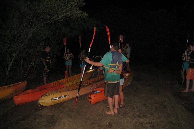 Bioluminescent Bay Kayak Trip from Vieques - Key points to know before booking