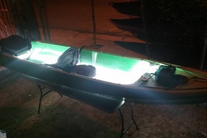 Bioluminescent Bay Kayak Trip from Vieques - Safety, comfort, and the parts that need improvement