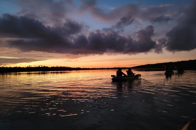 Bioluminescent Bay Night Kayaking Adventure in Puerto Rico - Paddling from Kayak Village into the dark